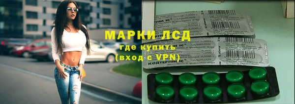 мет Алексин
