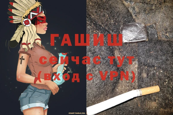 мет Алексин