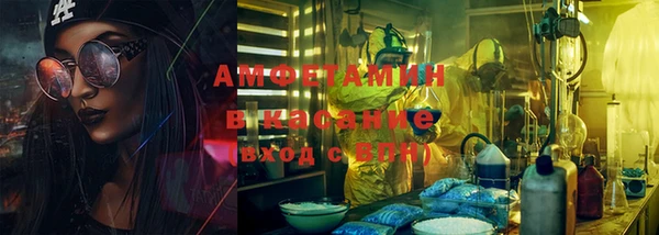 мет Алексин
