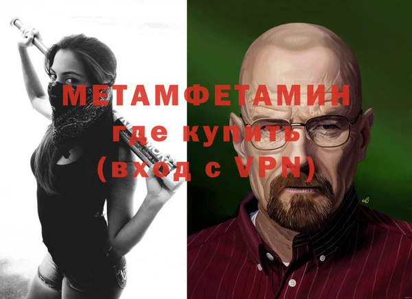 мет Алексин