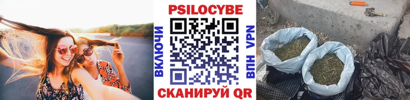 купить наркотик  Приморск  Псилоцибиновые грибы Magic Shrooms 